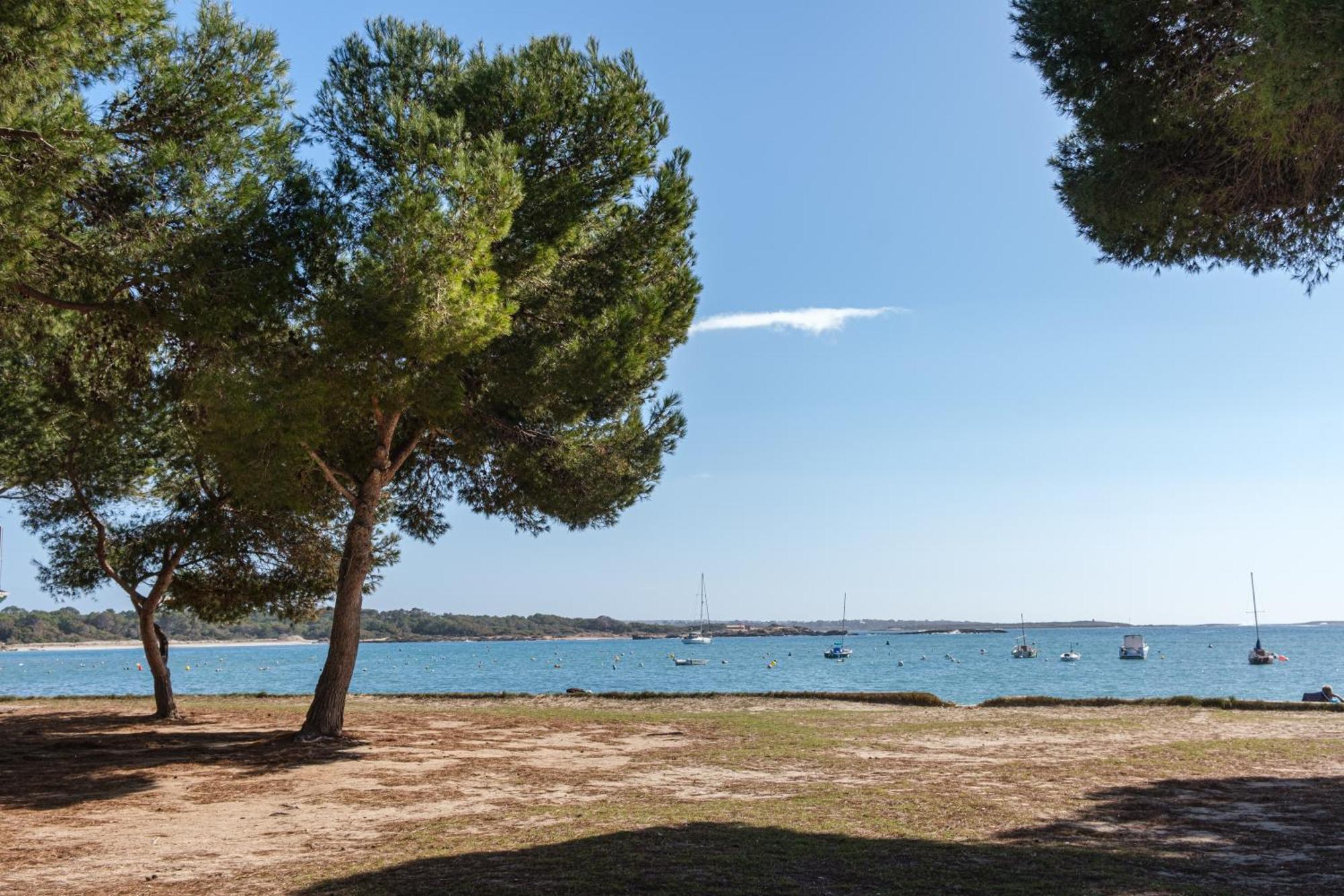 Alma Libre Beach Apartment Colonia de Sant Jordi Eksteriør billede