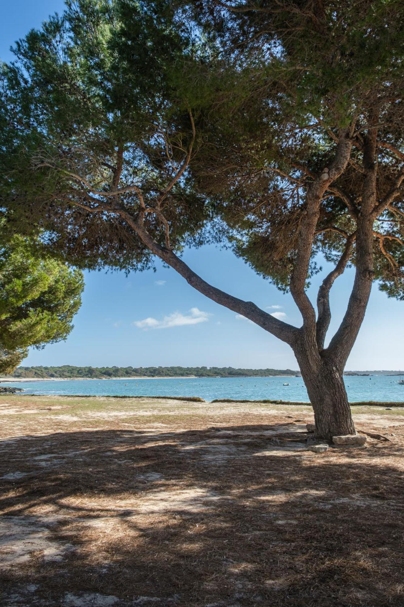 Alma Libre Beach Apartment Colonia de Sant Jordi Eksteriør billede